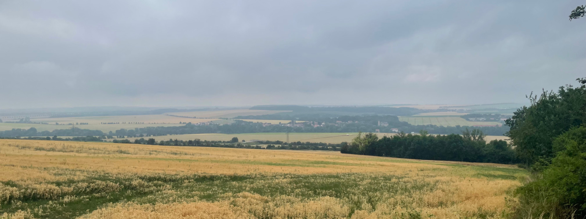 Am 4. Oktober gemeinsam raus – Wandertag in Tiefurt